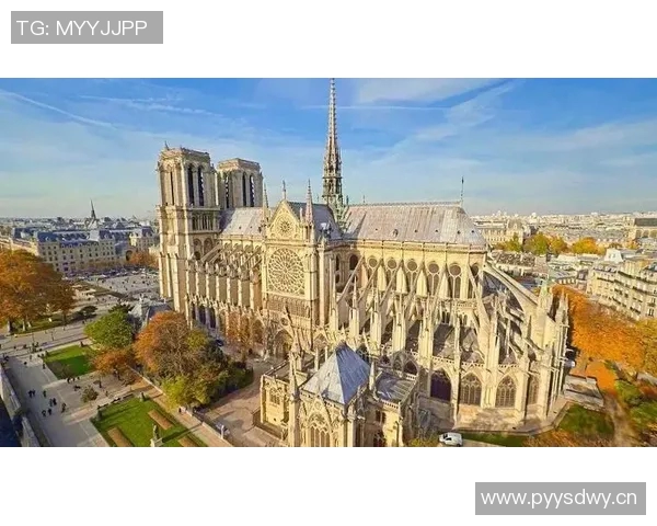 巴黎这一动作震惊全球网友热议瞬间登顶热搜榜第一 巴黎这一动作震惊全球网友热议瞬间登顶热搜榜第一