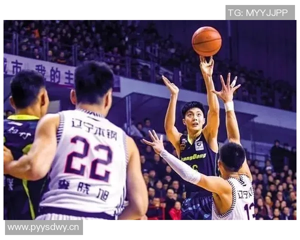 CBA后场球员技术数据分析与表现评估解析