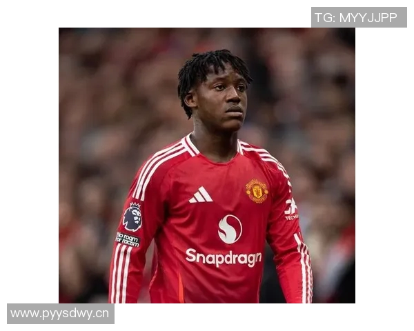 曼联伤情更新:复出时间仍未确定 曼联伤情更新:复出时间仍未确定