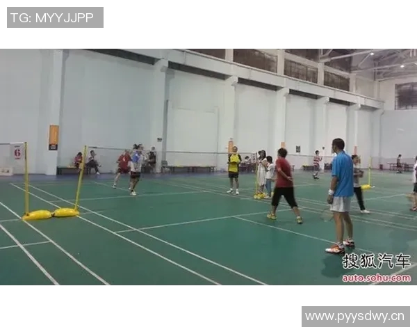 羽毛球顶级赛事选手状态分析及其表现对比赛结果的影响研究 羽毛球顶级赛事选手状态分析及其表现对比赛结果的影响研究